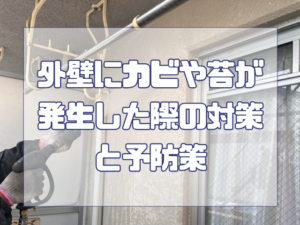外壁にカビや苔が発生した際の対策と予防策