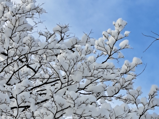 冬|冬の外壁塗装|時期
